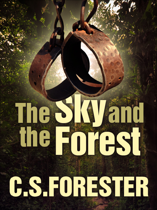 (cover image)