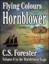 Flying Colours book cover