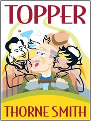 Topper cover