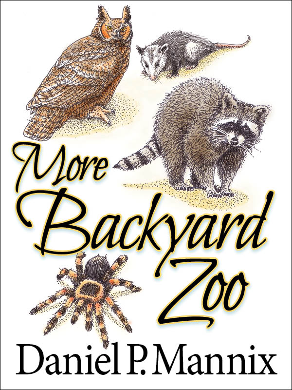 (cover image)
