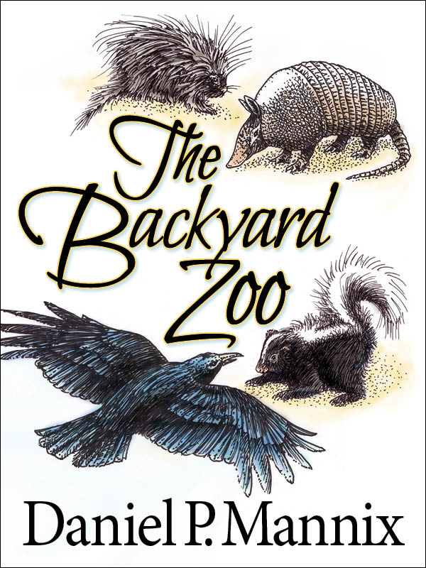 (cover image)
