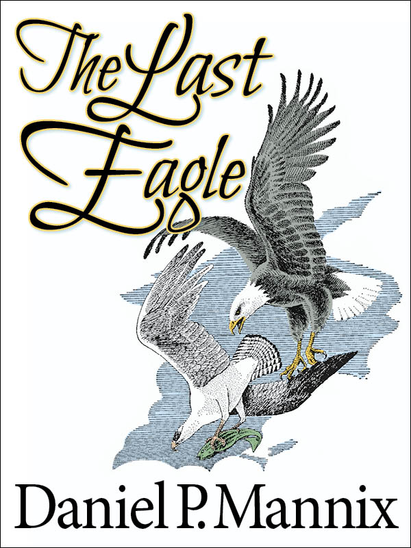 (cover image)